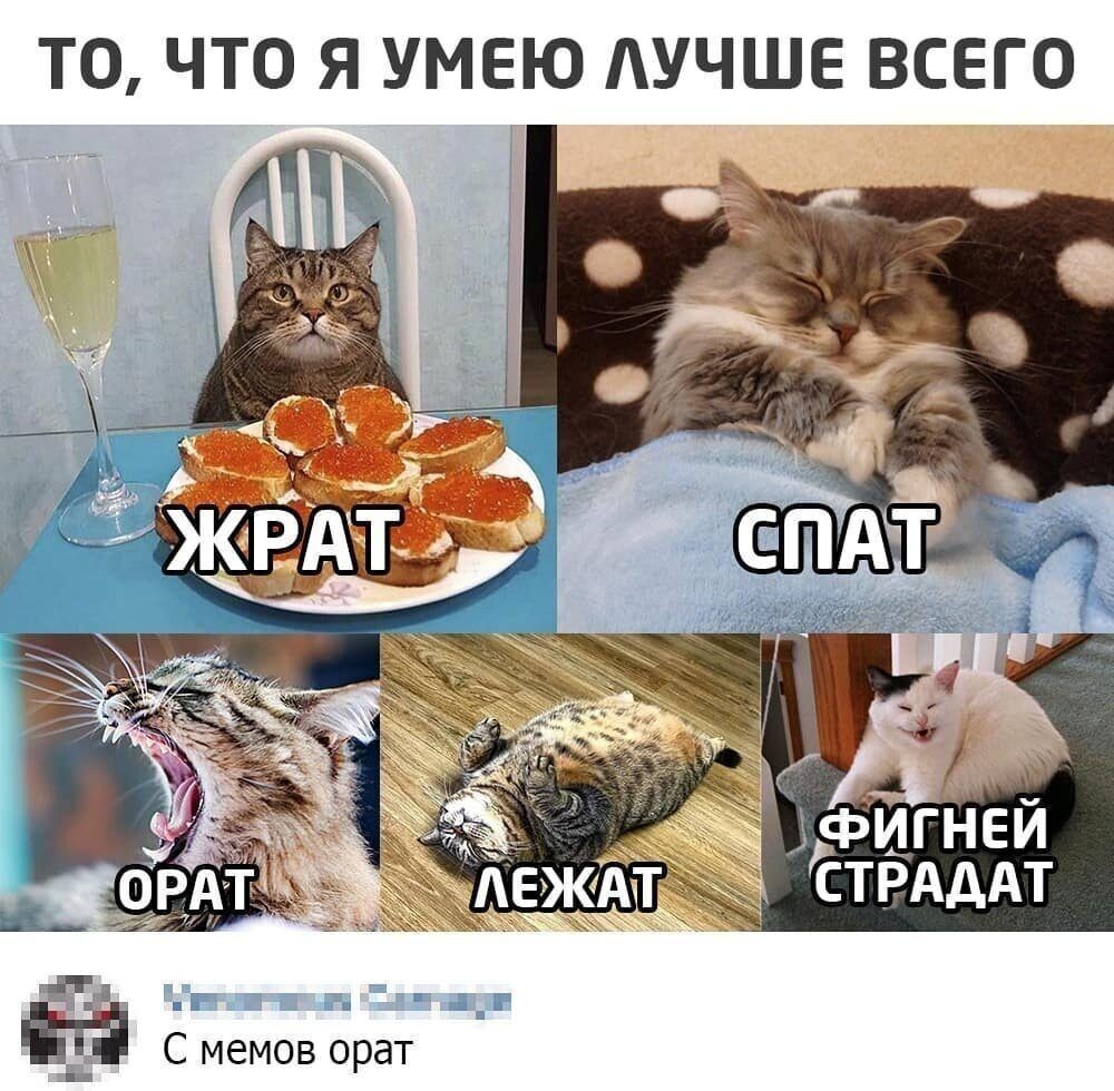 ТО ЧТО Я УМЕЮ АУЧШЕ ВСЕГО