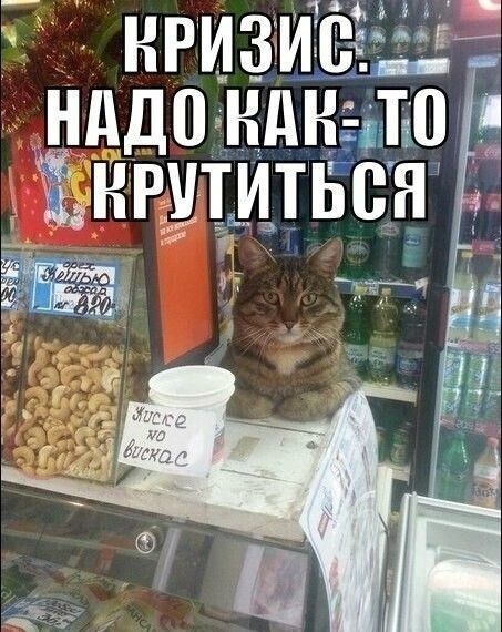 кризи нддо ндню Ёнппитьсн