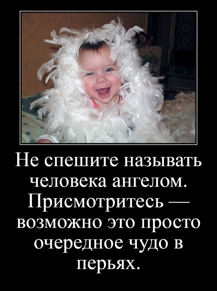 Не спешите называть человека ангелом Присмотритесь возможно это просто очередное чудо в перьях