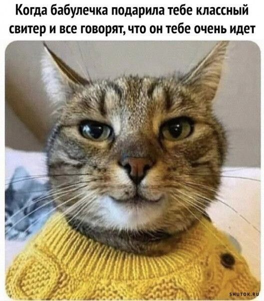 Когда бабупечка поддрила тебе классный свитер и все говорятчто он тебе очень идет
