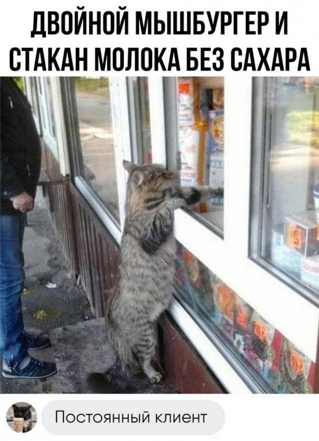ЛВПЙНПЙ МЫШБУРГЕР И СТА_КАН МПЛПКЪЁ БЕЗ ВАХЬЁА не 3 с г Постоянный клиент