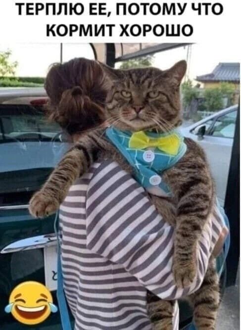 КОРМИТ ХОРОШО О Т Ч У О П Е Е Ю П П Р Е Т