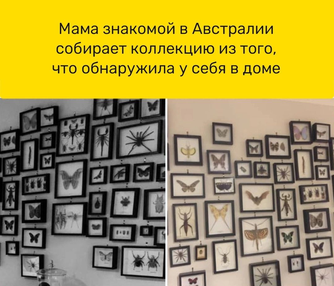 Мама знакомой в Австралии собирает коллекцию из того что обнаружила у себя в доме