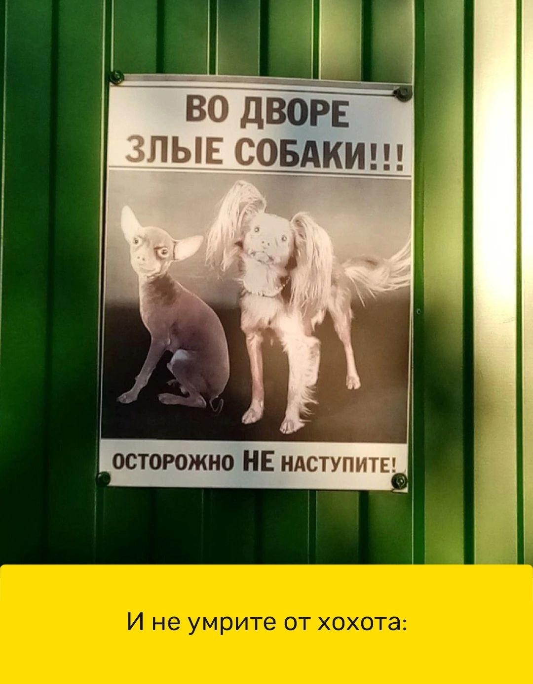 во дьъріщ ПЫЕ СОЫКИЦ
