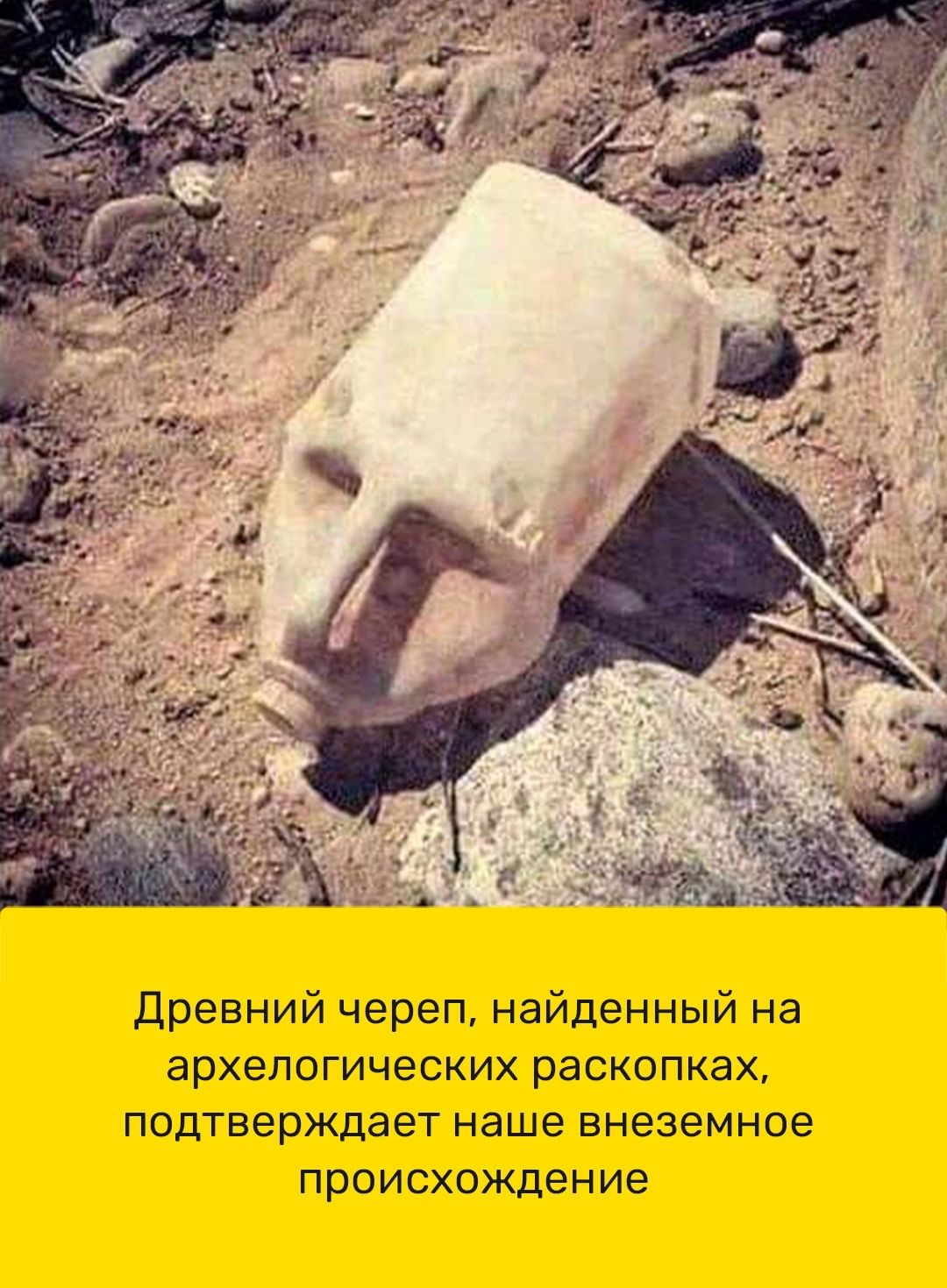 Древний череп найденный на архепогических раскопках подтверждает наше внеземное происхождение