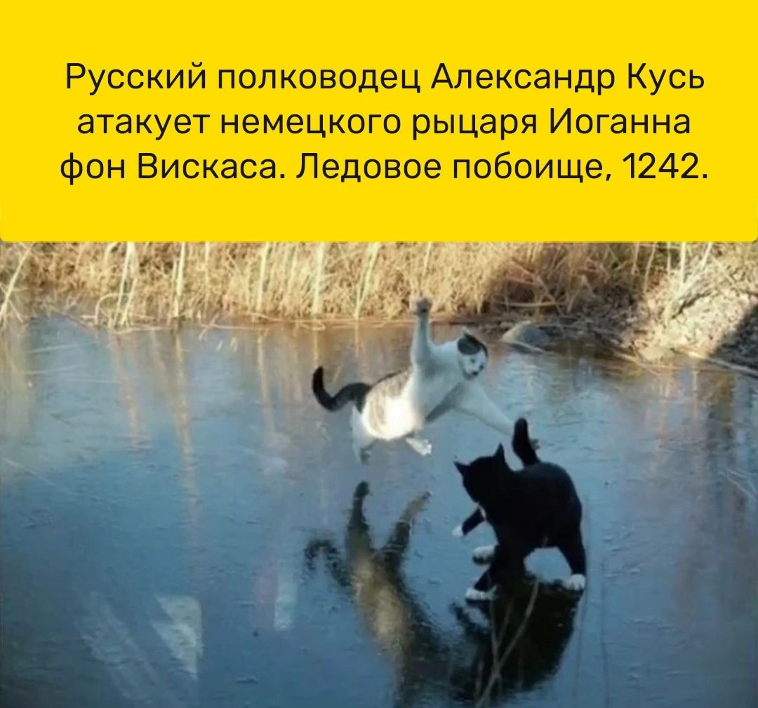 Русский полководец Александр Кусь атакует немецкого рыцаря Иоганна Фон Вискаса Ледовое побоище 1242