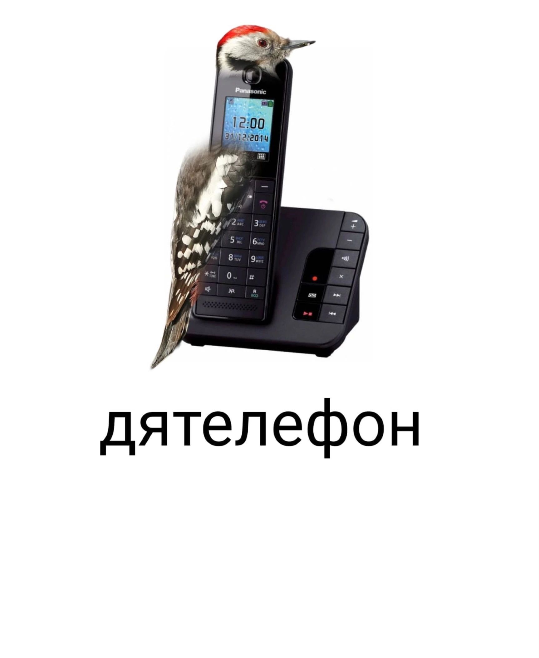 дятелефон