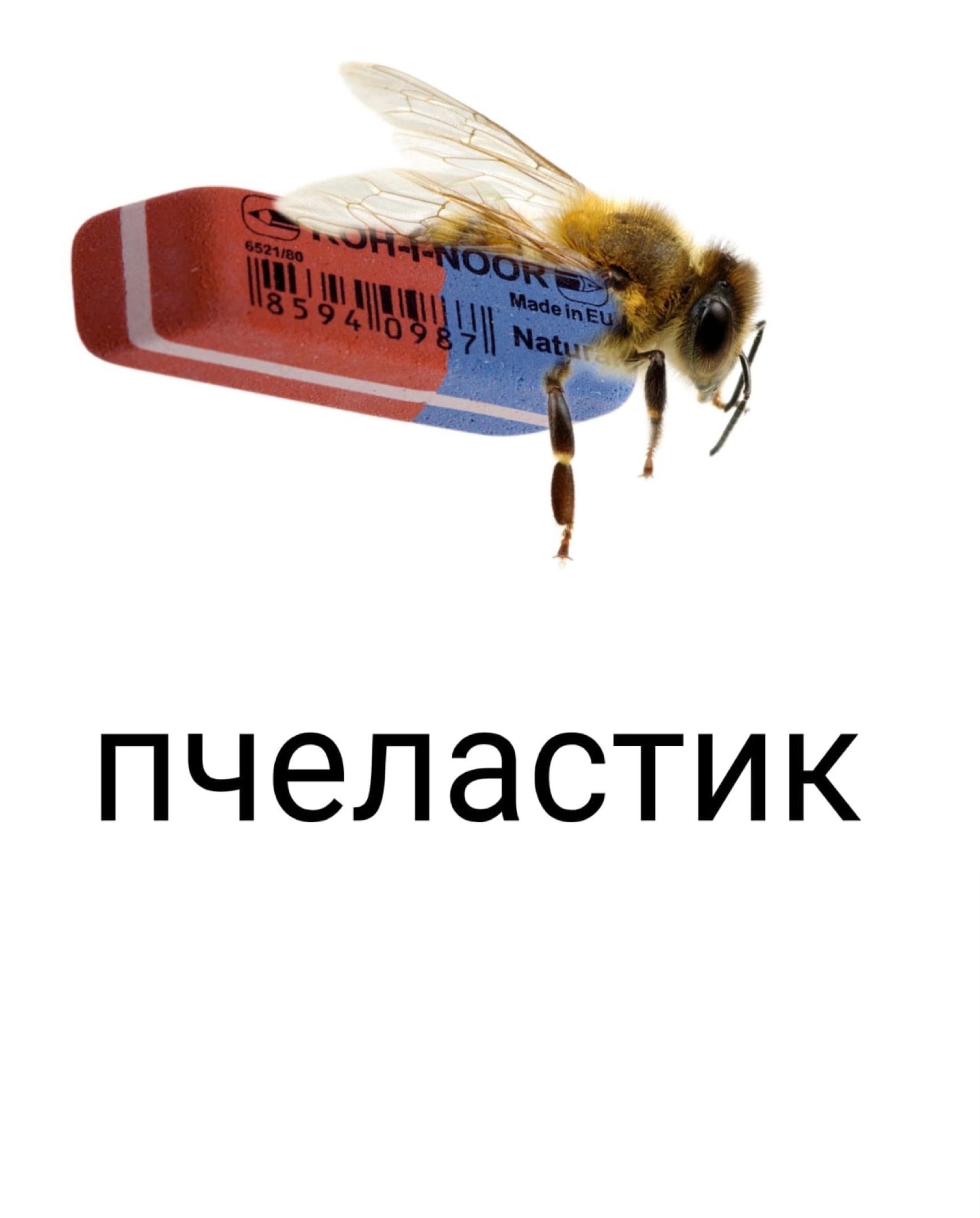 ПЧЭЛЭСТИК