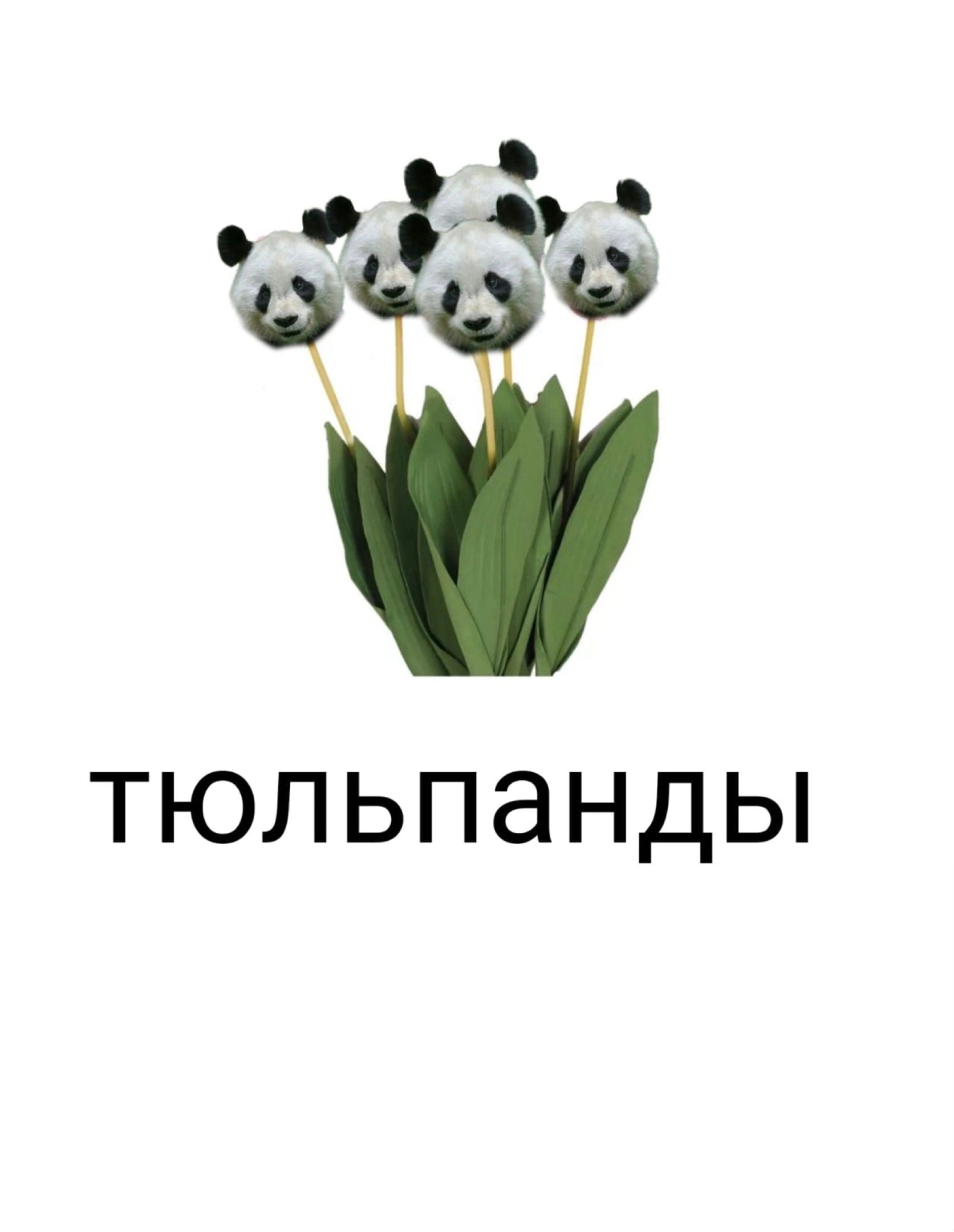 ТЮЛЬПЭНДЫ