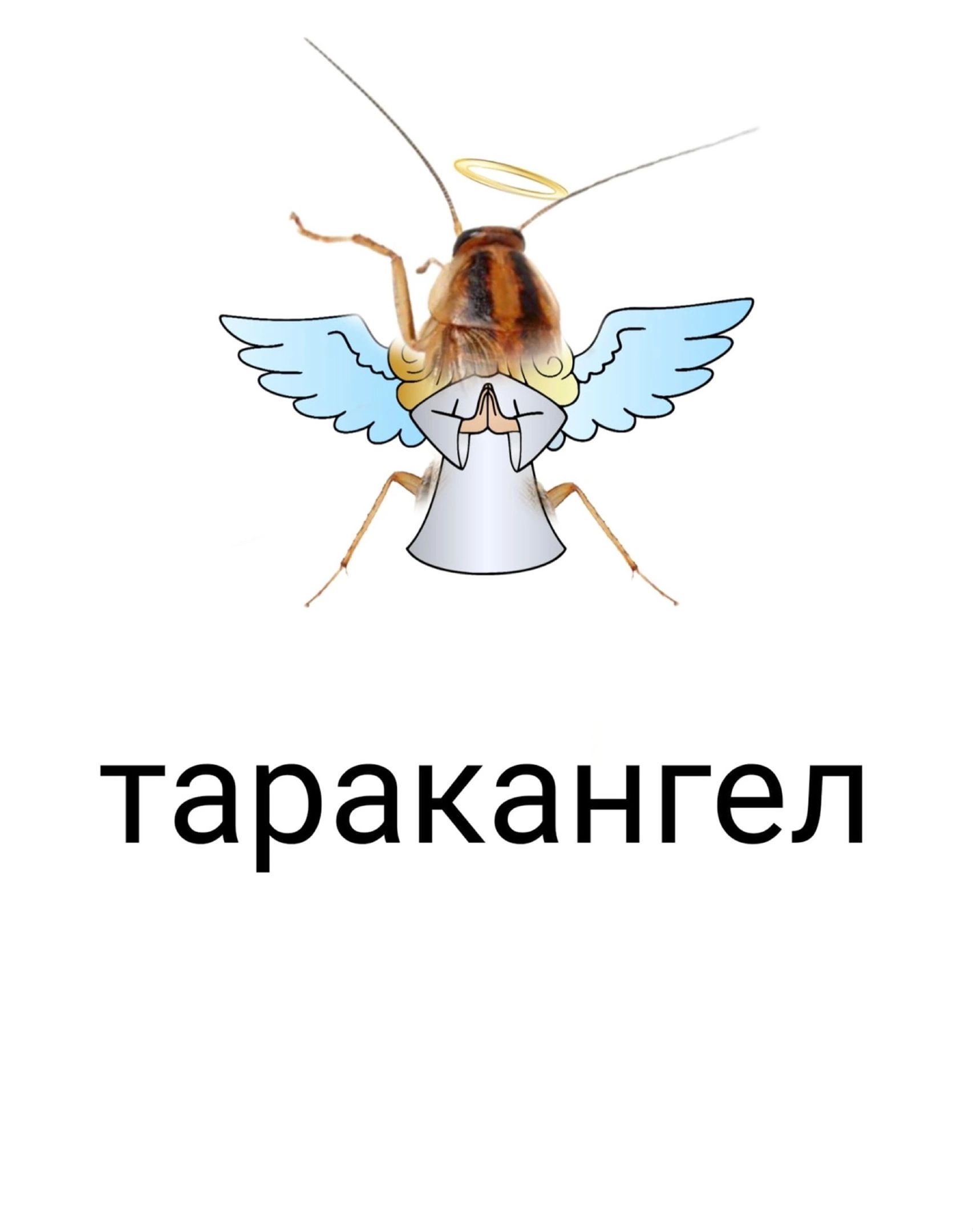 таракан гел