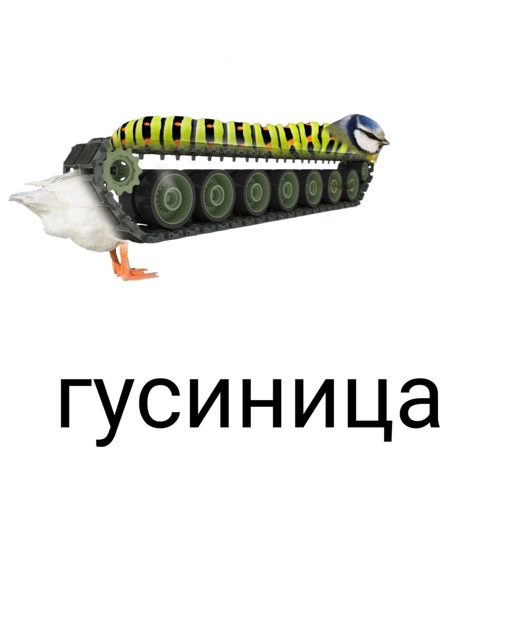 гусиница