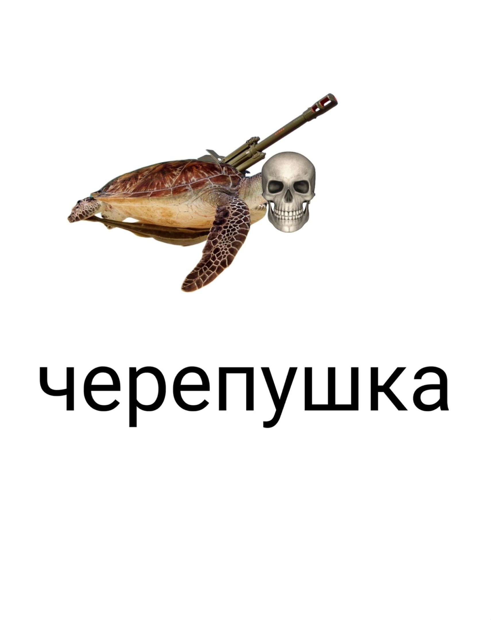 ЧЭРЭПУШКЭ