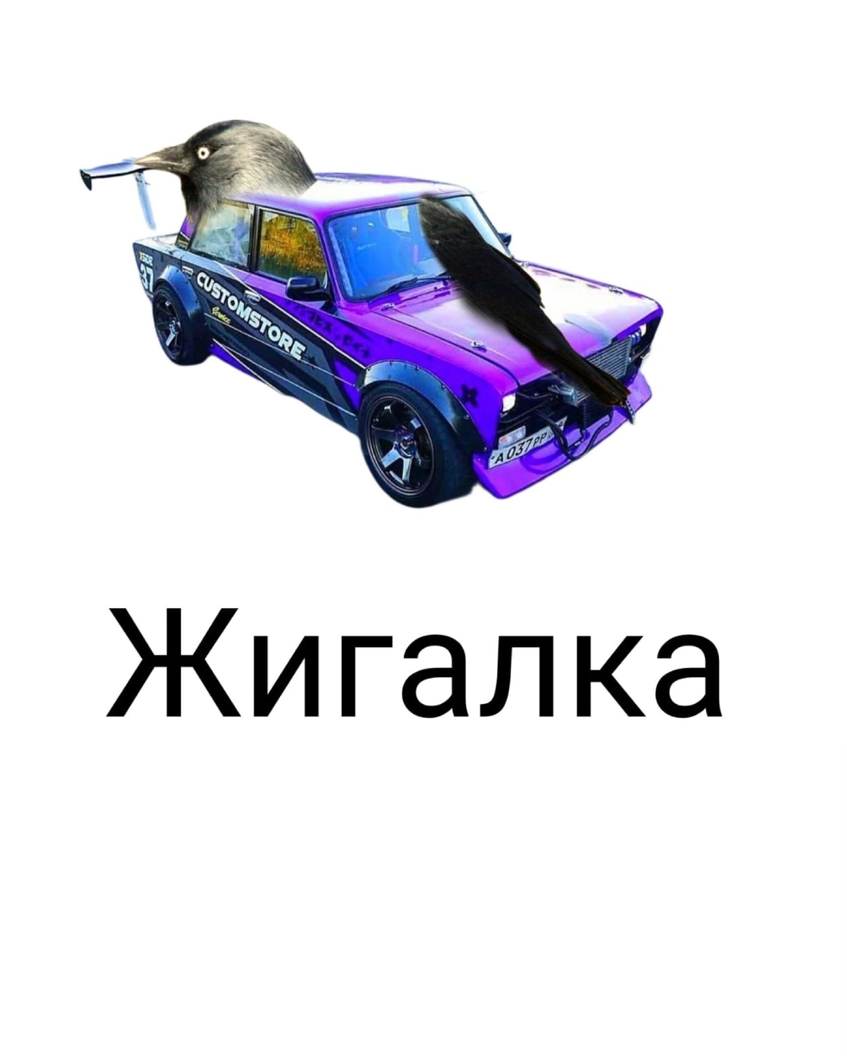 Жи гал ка