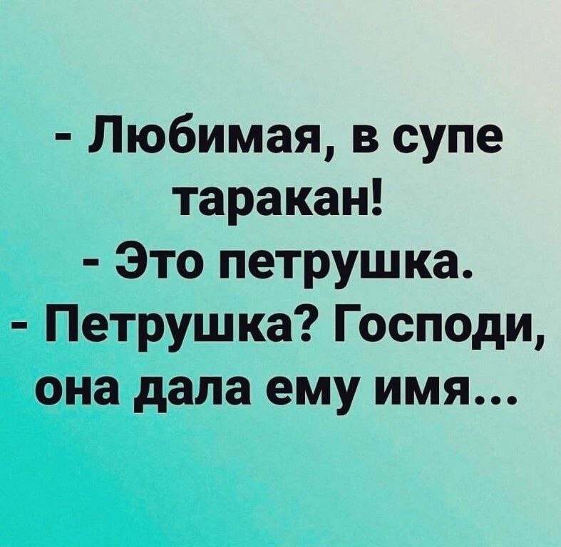 Любимая в супе таракан Это петрушка Петрушка Господи она дала ему имя