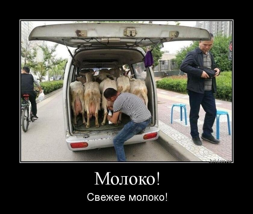 Свежее молоко