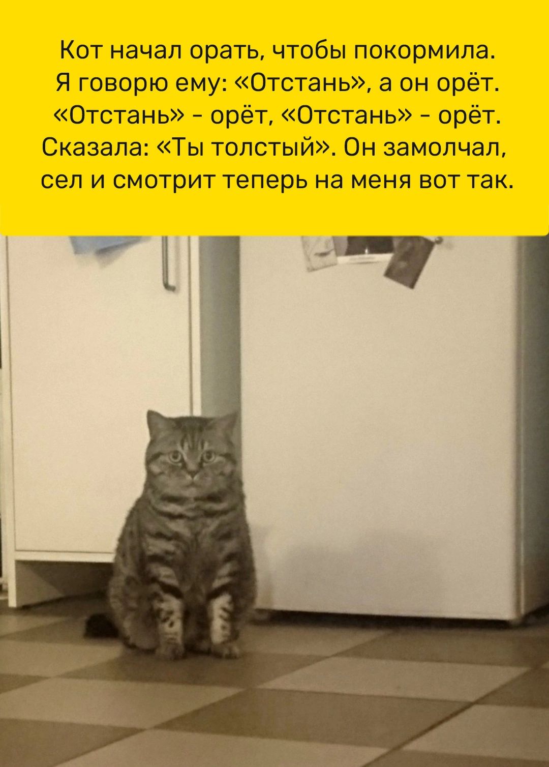 Кот начал орать чтобы покормипа Я говорю ему Отстань а он орёт Отстань орёт Отстань орёт Сказала Ты толстый Он замолчал сеп И СМОТПИТ теперь на меня БОТ ТЗК