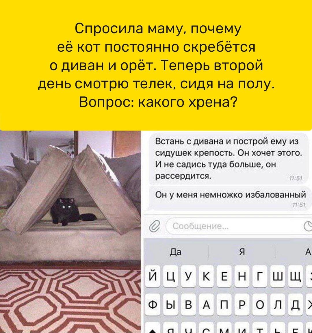 Спросила маму почему её кот постоянно скребётся диван и орёт Теперь второй день смотрю телек сидя на полу Вопрос какого хрена Есин слита и постой ему и сипушек крыш о хп того и на запись туда Больше он твердит Он у меня немножко избалованный