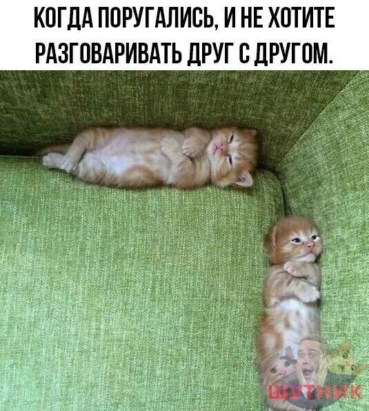 КПГЛА ППРУГАЛИСЬ И НЕ ХПТИТЕ РАЗГПБАРИВАТЬ ДРУГ С ДРУГОМ