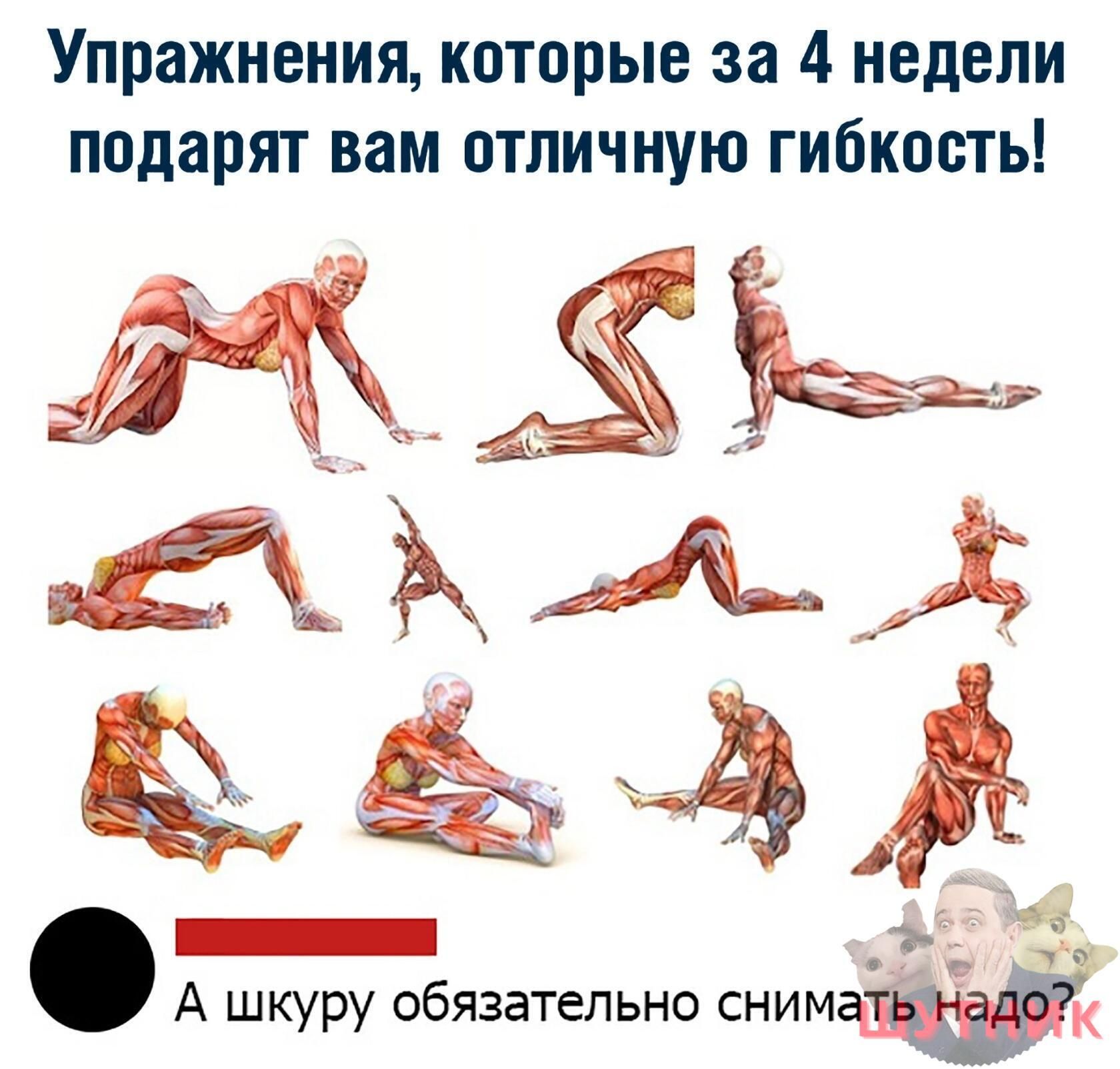 Упражнения которые за 4 недели подарят вам отличную гибкость _ Ё А шкуру обязательно сним