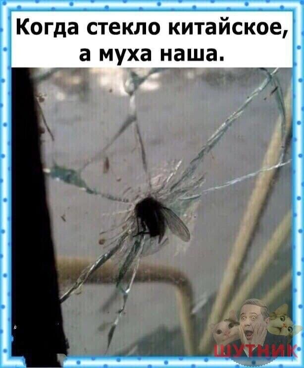 Когда стекло китайское а муха наша