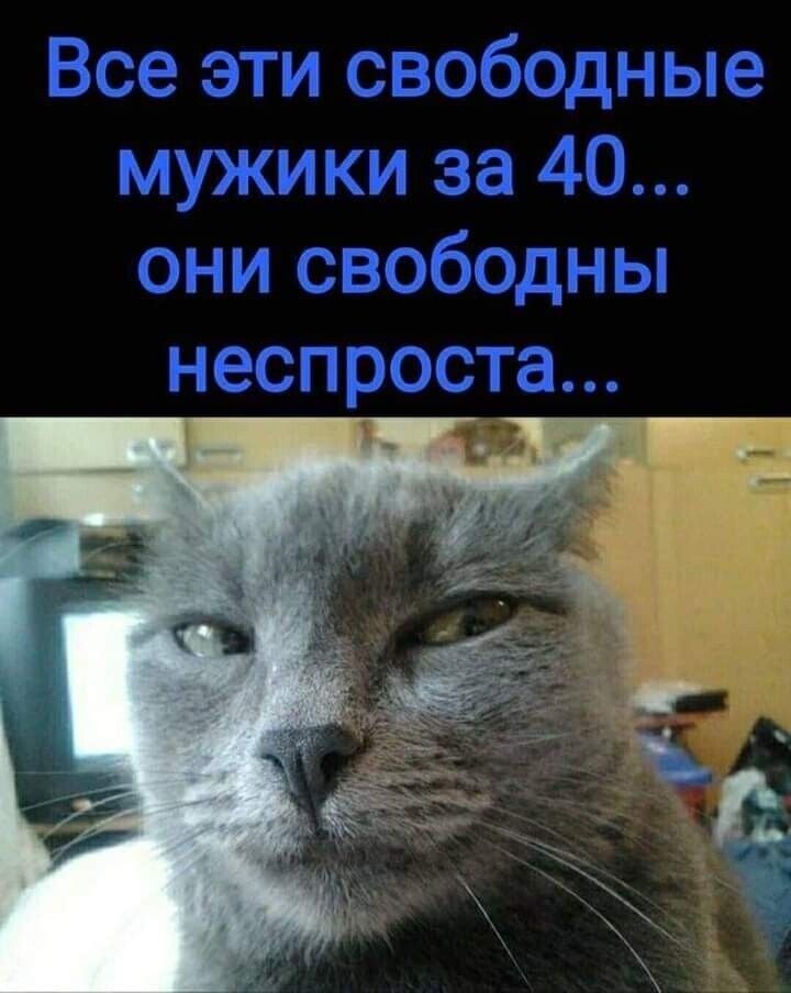 Все эти свободные мужики за 40 они свободны неспроста
