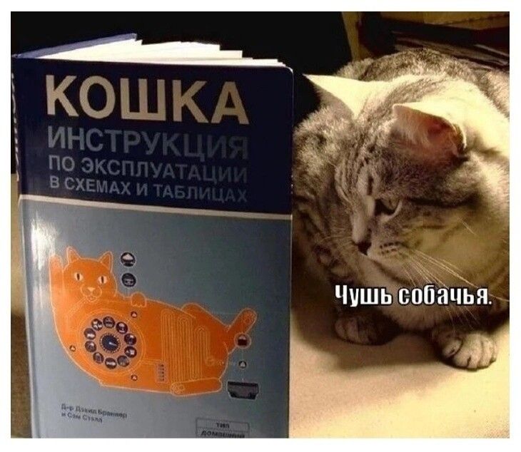 Чушь впнацья