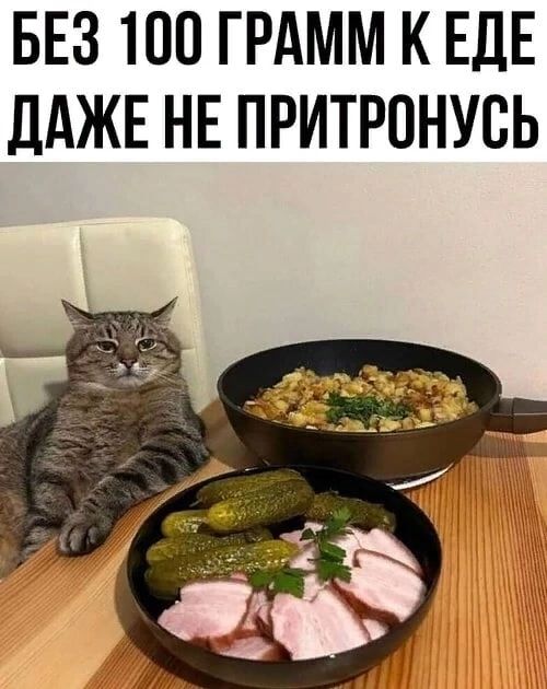 БЕЗ 100 ГРАММ К ЕДЕ дАЖЕ НЕ ПРИТРПНУВЬ