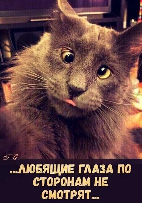 3 67 МОБЯЩИЕ гмЗд пб сторонди не смотрят