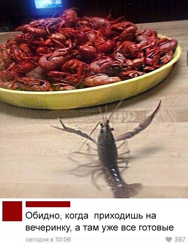 Обидно когда приходишь на вечеринку а там уже все готовые