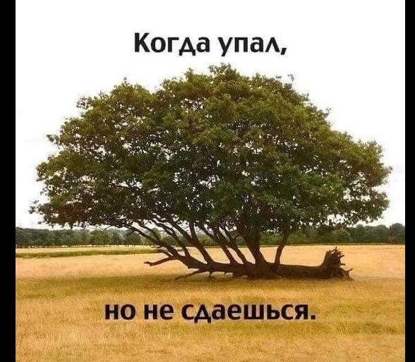 Когда упа