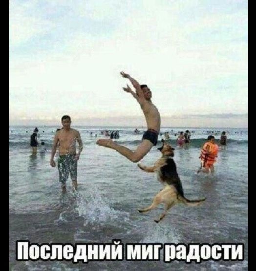 ШЮЧЁДНИИ МИГ падозти