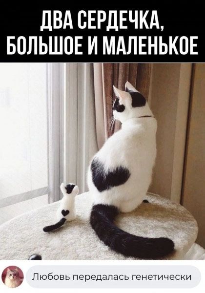 двд сЕРдЕчкд БОЛЬШОЕ и МАЛЕНЬКПЕ