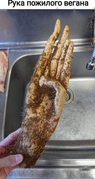 КЭ ПОЖИЛОГО вегана