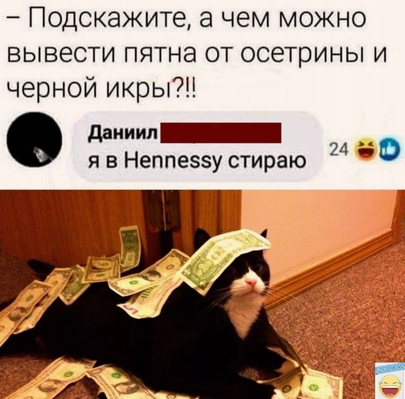 Подскажите а чем можно вывести пятна от осетрины и черной икры даииип_ 0 я в Неппеззу стираю 24