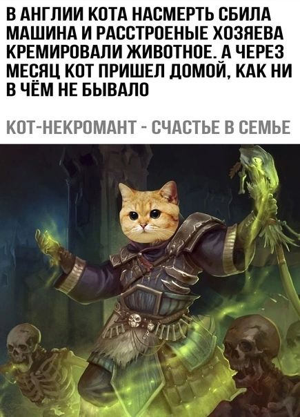 В АНГЛИИ КОТА НАВМЕРТЬ ВБИЛА МАШИНА И РАВВТРПЕНЫЕ ХОЗЯЕВА КРЕМИРПВАЛИ ЖИВОТНПЕ_А ЧЕРЕЗ МЕСЯЦ КНТ ПРИШЕЛ ДПМОИ КАК НИ В ЧЕМ НЕ БЫВАЛП КОТ НЕКРОМАНТ СЧАСТЬЕ В СЕМЬЕ