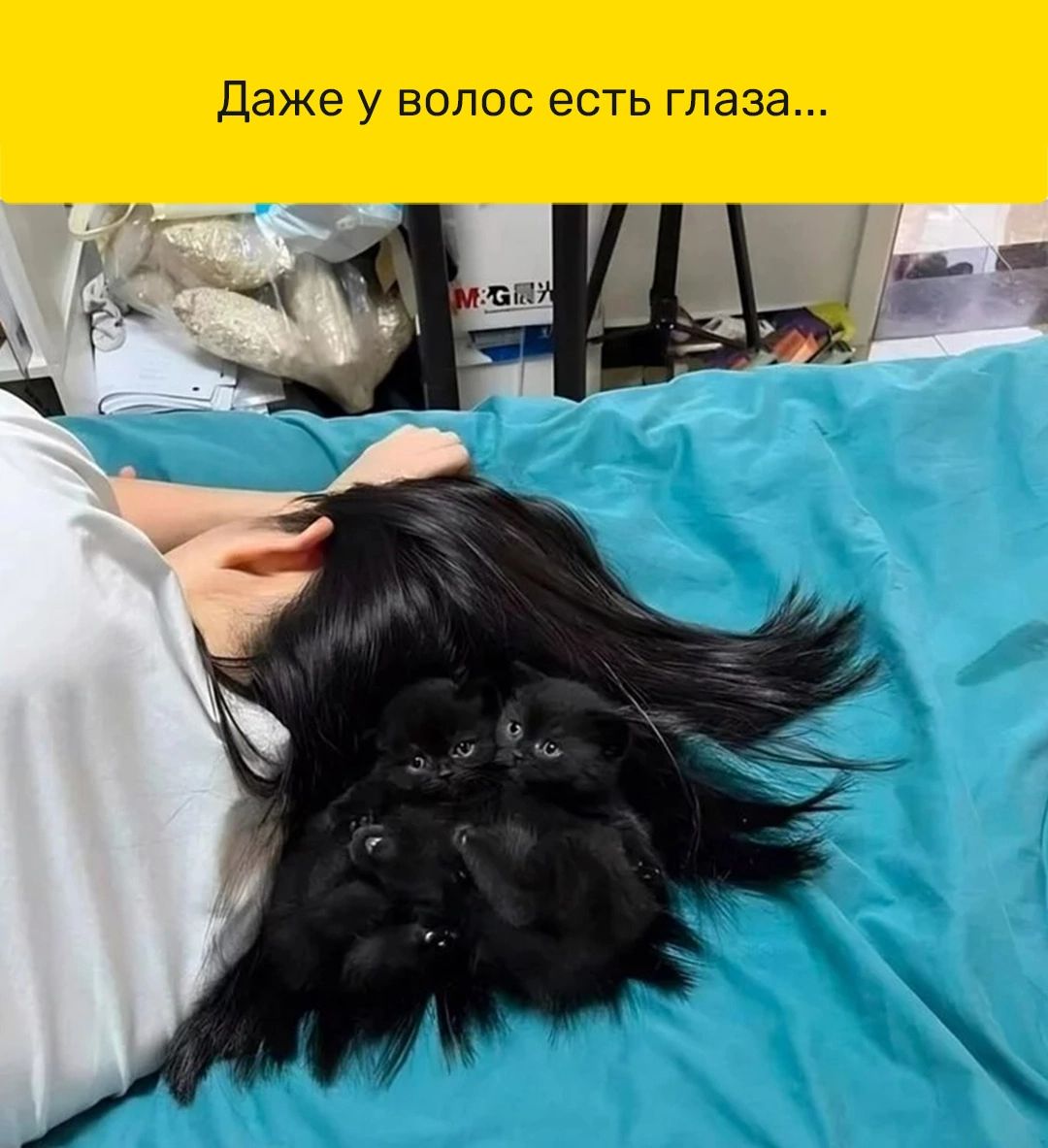 Даже у ВОЛОС есть глаза