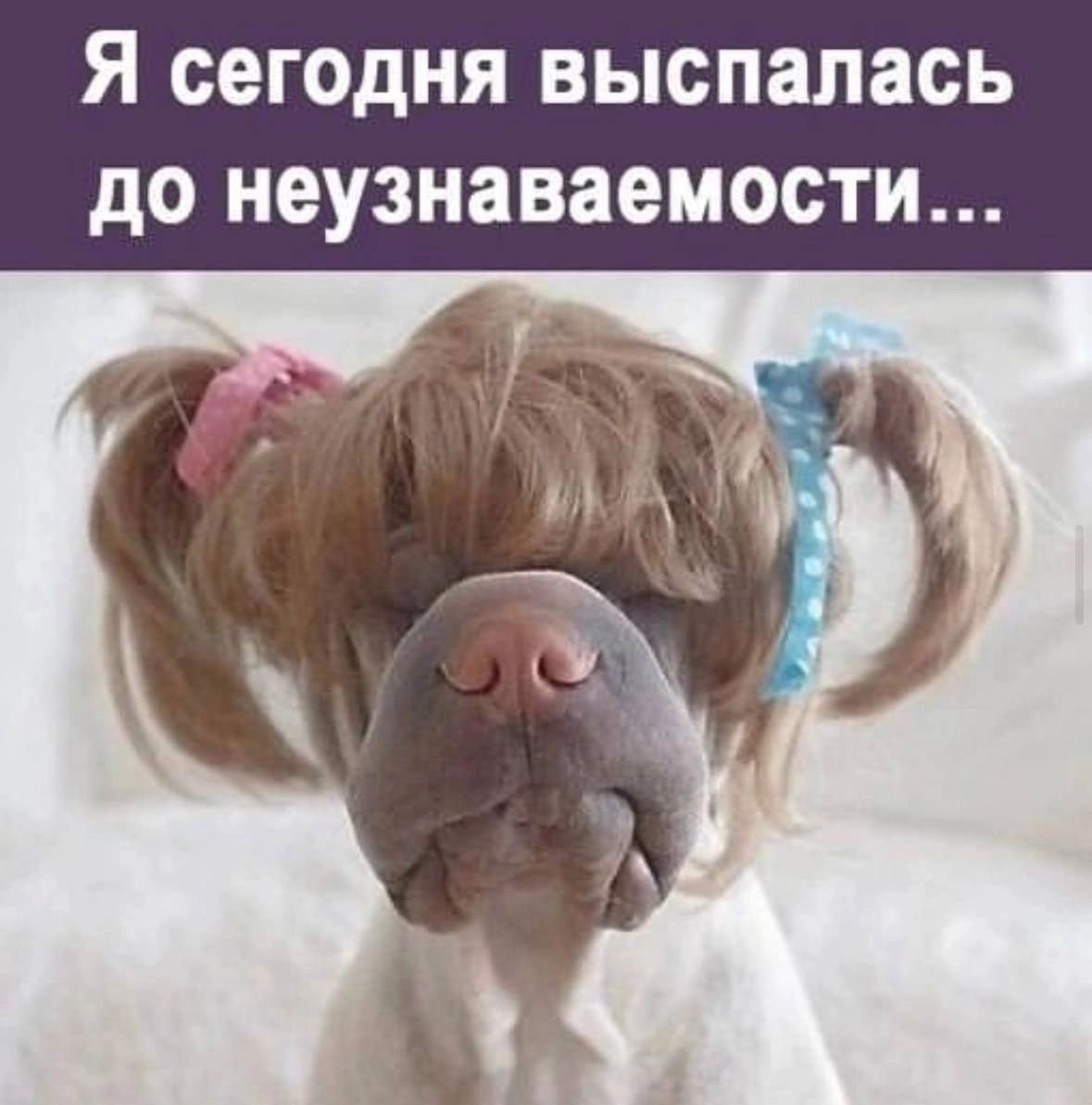 Я СЕГОДНЯ выспалась до неузнаваемости