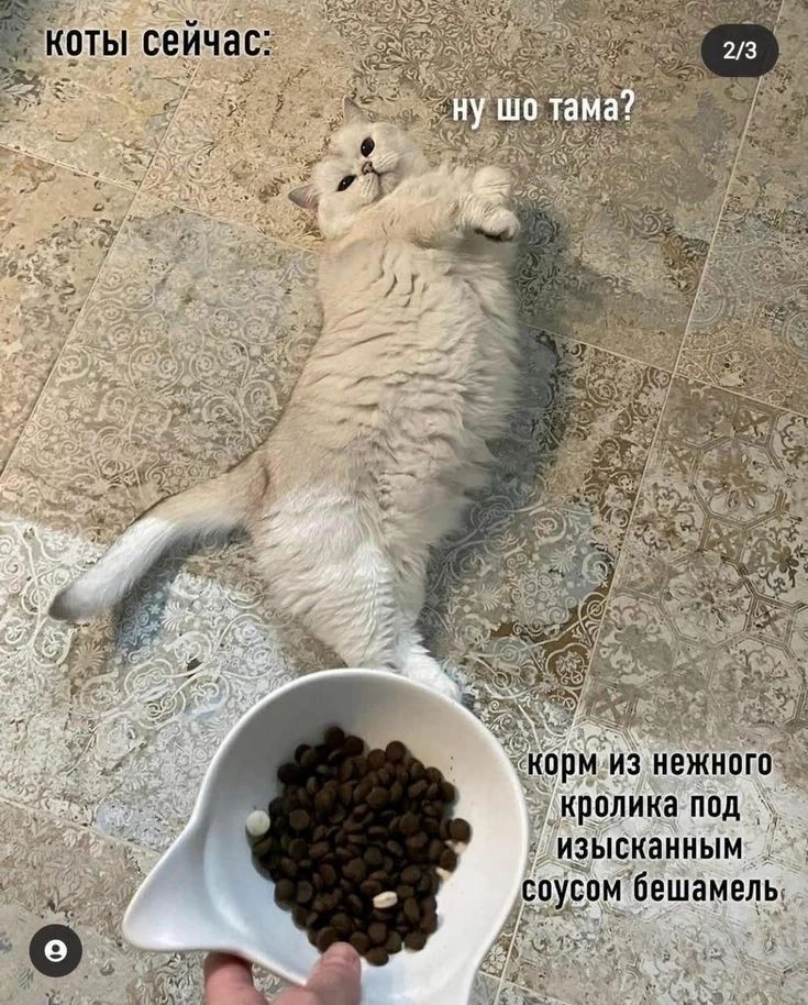 ты сейчас ИЗЫСКЭИИЫМ ЕПУБПМ ЁЕШВМЕЛЬ
