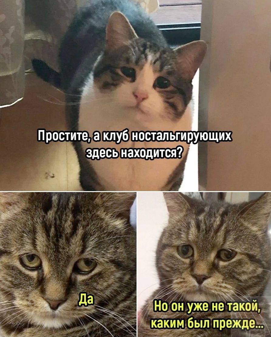 _ ЗДЕСЬ находит