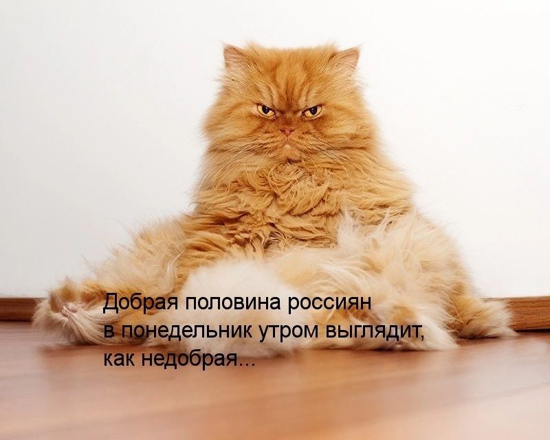 ппповина веса и