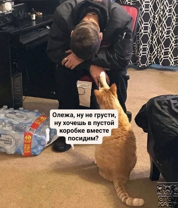 _ коробке вместе посидим