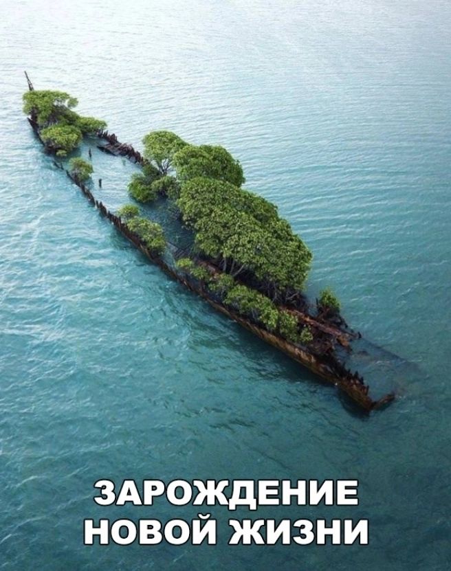 ЗАРОЖДЕНИЕ НОВОЙ ЖИЗНИ