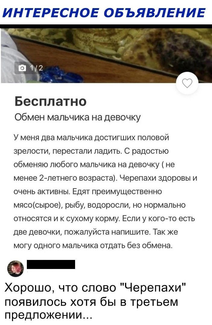 ИНТЕРЕСНОЕ ОБЪЯВЛЕНИЕ Бесплатно Обмен мальчика на девочку У меня два мальчика достигших половой зрелости перестали ладить радостью обменяю любого мальчика на девочку не менее 27петнего возраста Черепахи здоровы и очень активны Едят преимущественно мясысыроеі рыбу водоросли но нормально относятся и сухому корму Если у котето есть две девочки пожалуйста напишите Так же могу одного мальчика отдать бе