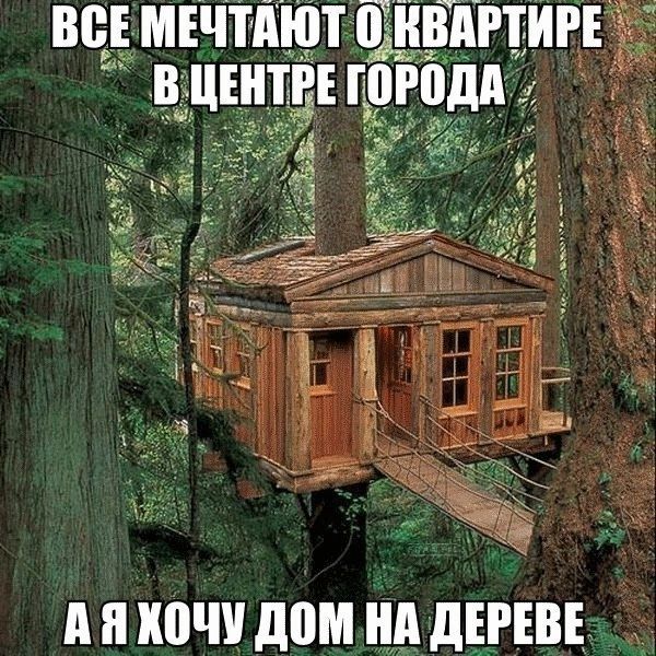 пикачу дом на дшвь