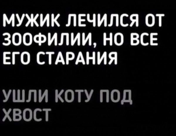 МУЖИК ЛЕЧИЛСЯ ОТ ЗООФИЛИИ НО ВСЕ ЕГО СТАРАНИЯ УШЛИ КОТУ ПОД ХВОСТ