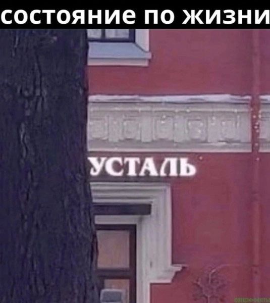 СОСТОЯНИЕ ПО ЖИЗНИ