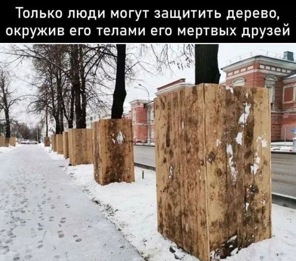 Только люди могут защитить дерево окружив его телами его мертвых друз