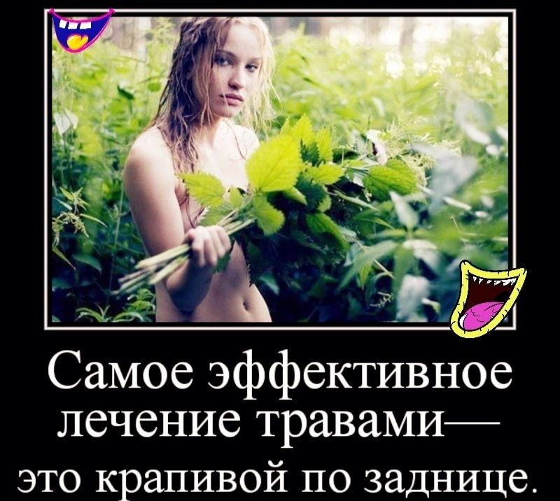 Самое эффективное лечение травами это крапивой по заднице