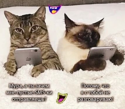 азгоза іваю