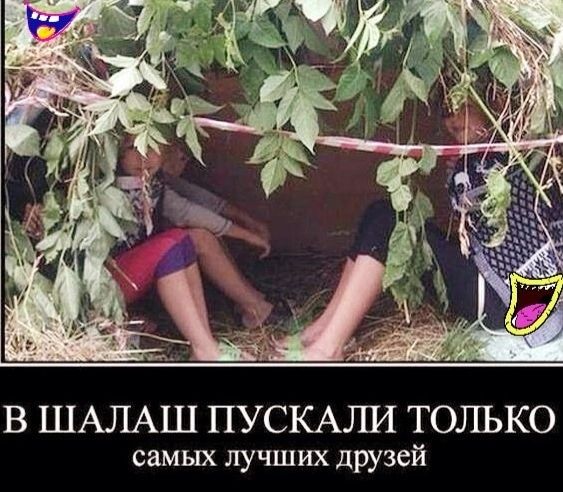 В ШАЛАШ ПУСКАЛИ ТОЛЬКО самых лучших друзей